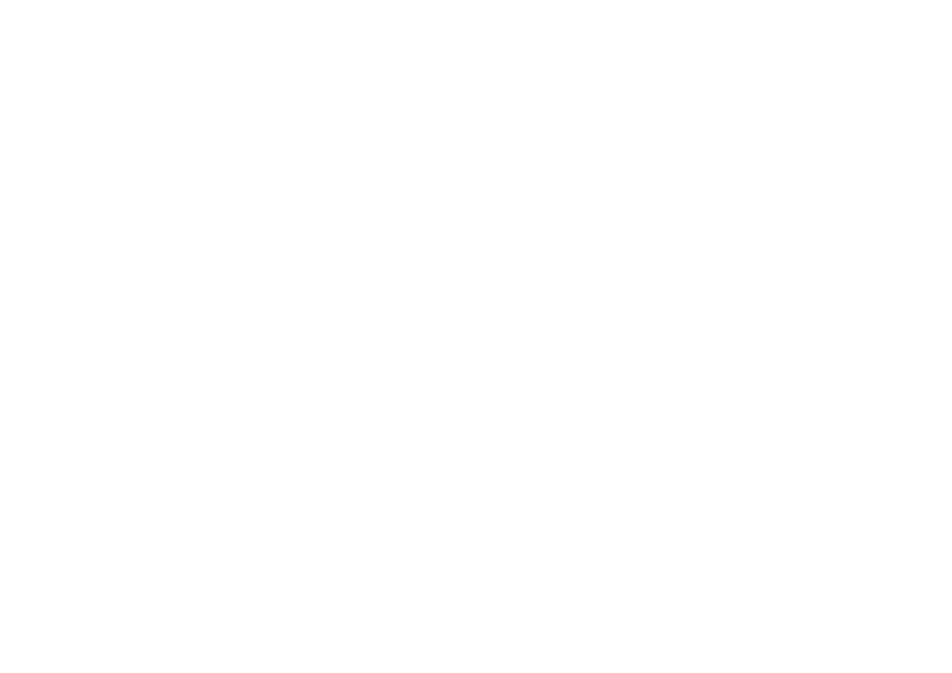 shape13